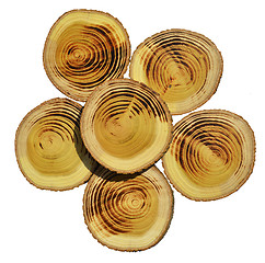 Image showing Wood slices