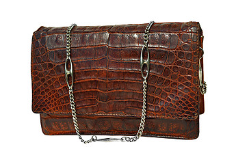 Image showing Alligator leather bag