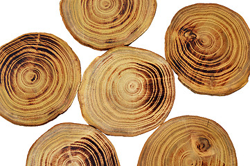 Image showing Wood slices