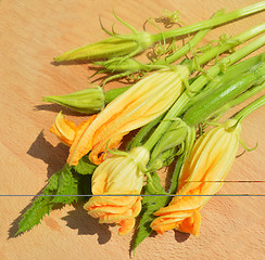 Image showing Yellow courgette blossoms