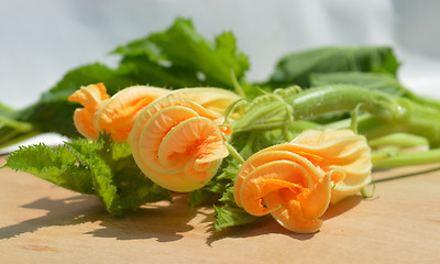 Image showing Yellow courgette blossoms