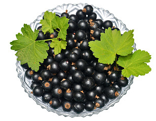 Image showing Blackcurrant