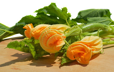 Image showing Yellow courgette blossoms