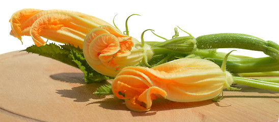 Image showing Yellow courgette blossoms