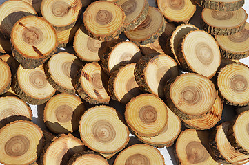 Image showing Wood slices