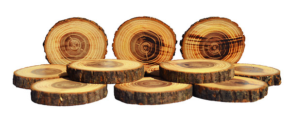 Image showing Wood slices