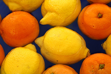 Image showing Oranges and lemons