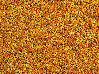 Image showing Bee pollen