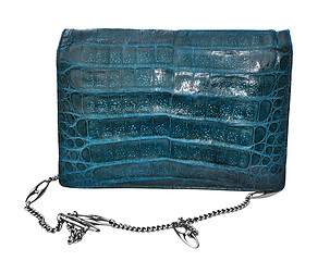 Image showing Alligator leather bag