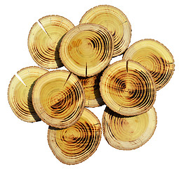Image showing Wood slices