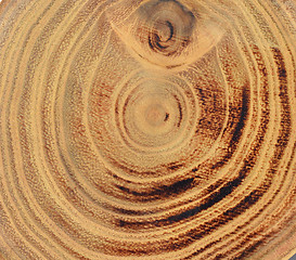 Image showing Wood slice