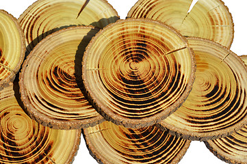 Image showing Wood slices