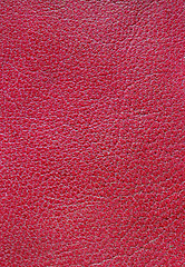 Image showing Leather