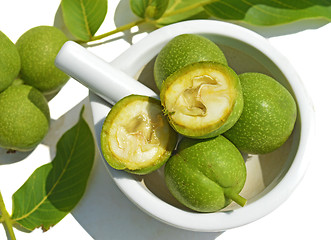 Image showing Green young walnuts in husks