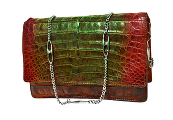 Image showing Alligator leather bag