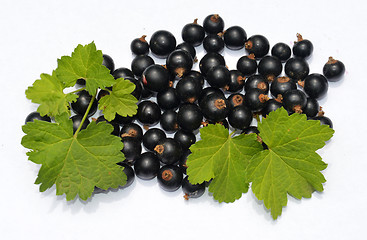 Image showing Blackcurrant