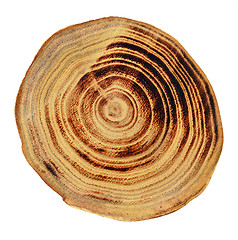 Image showing Wood slices