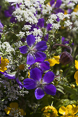 Image showing summer flowers