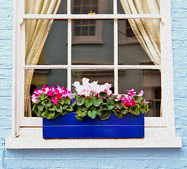 Image showing notting   hill  area  in london england old suburban and flowers