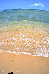 Image showing paradise beach seaweed  indian ocean      foam