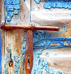 Image showing rusty metal     nail dirty stripped paint in the blue wood door 