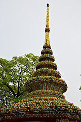 Image showing  thailand asia   in  bangkok rain  tree   and  colors religion  