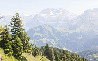 Image showing Typical view of the Swiss alps