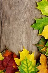 Image showing Frame of Autumn Leafs