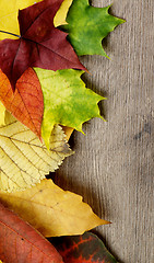 Image showing Frame of Autumn Leafs