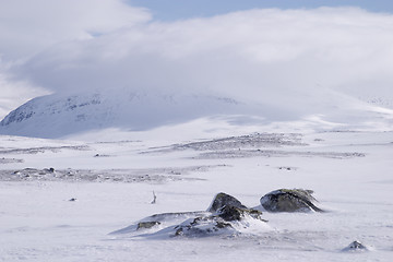 Image showing Snow