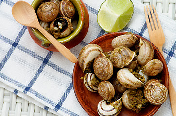 Image showing Snails with Garlic Butter