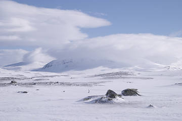 Image showing Snow