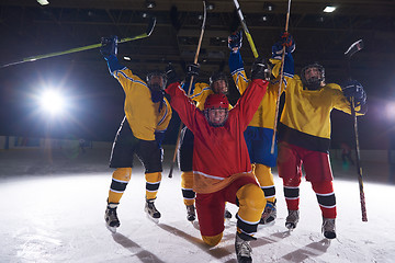 Image showing teen girls ice hockey sport players