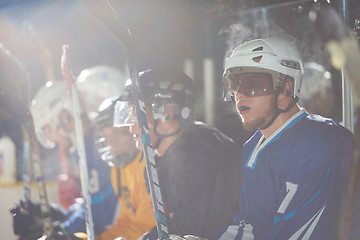 Image showing ice hockey player portrait