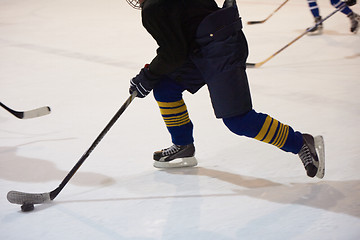 Image showing ice hockey player in action