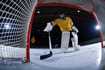 Image showing ice hockey goalkeeper