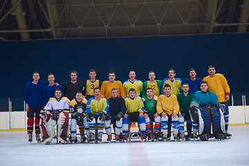 Image showing ice hockey players team portrait