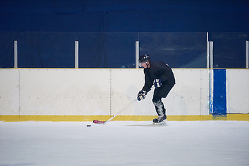 Image showing ice hockey player in action