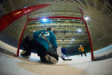 Image showing ice hockey goalkeeper