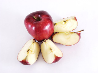 Image showing Whole Apple with Sections