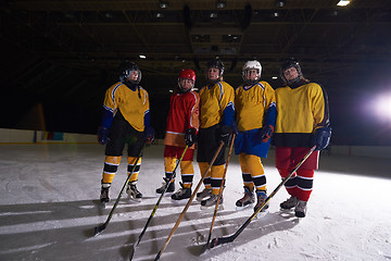 Image showing teen girls ice hockey sport players