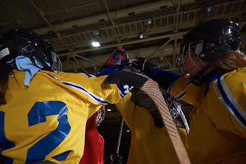 Image showing teen girls ice hockey sport players