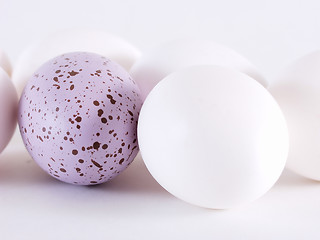 Image showing Odd Egg