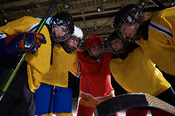 Image showing teen girls ice hockey sport players