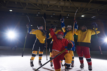 Image showing teen girls ice hockey sport players