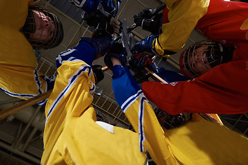 Image showing teen girls ice hockey sport players