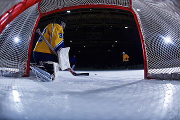 Image showing ice hockey goalkeeper