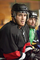 Image showing ice hockey players on bench