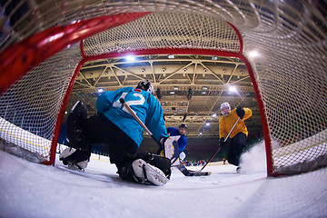 Image showing ice hockey goalkeeper