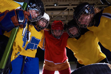 Image showing teen girls ice hockey sport players